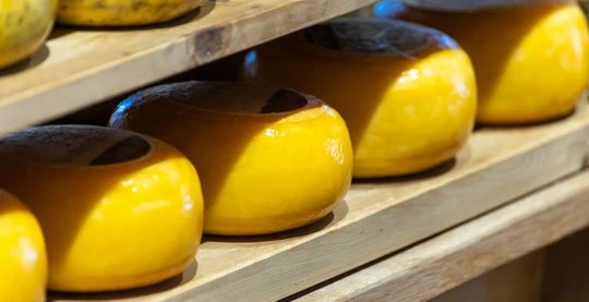 Moulins à vent de Kinderdijk et fabrication de fromage hollandais