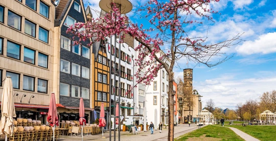 Visite à pied de Cologne