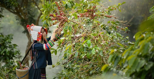 Visite d’un village habité par des Lao Loum et Lao Theun