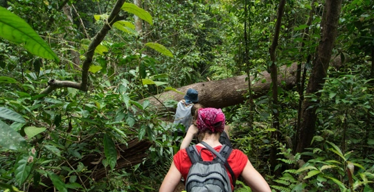 Randonnée dans la jungle avec un guérisseur local