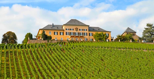 Dégustation de vins et dîner au domaine Schloss Johannisberg