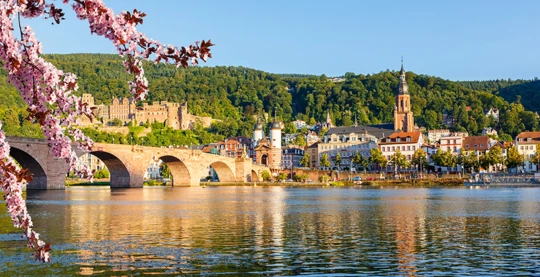 Heidelberg panoramique et déjeuner avec des étudiants universitaires