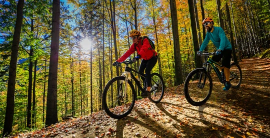 Dans la Forêt-Noire en vélo électrique