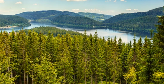 Journée complète d'expérience en Forêt-Noire
