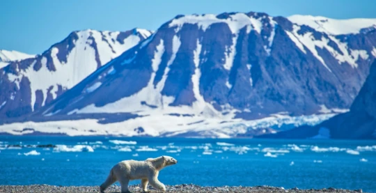 Visite de Ytre Norskøya