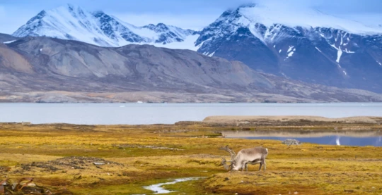 Visite de Hyttesletten