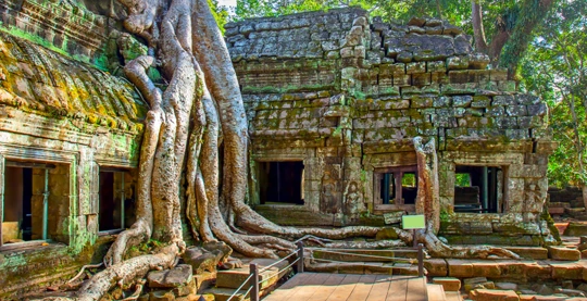 Temple de Ta Prohm