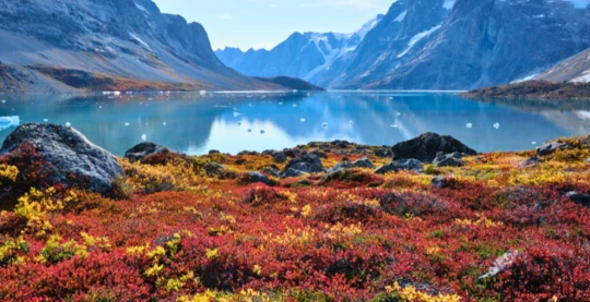 Visite de Jameson Land