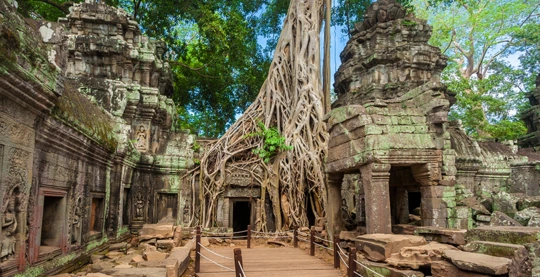 Ta Prohm et Angkor Thom