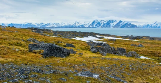 Promenade guidée à travers le cercle arctique