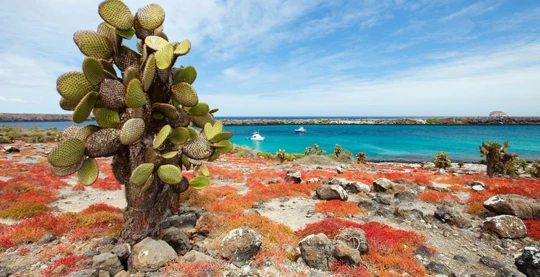 Visite de South Plaza