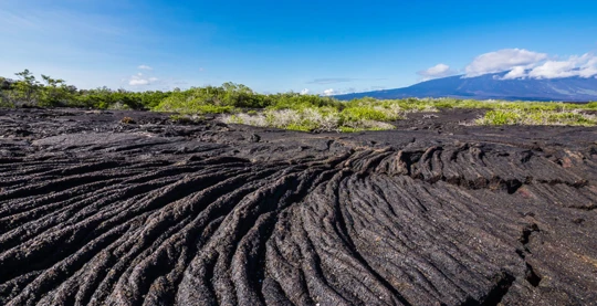 Randonnée à Punta Moreno