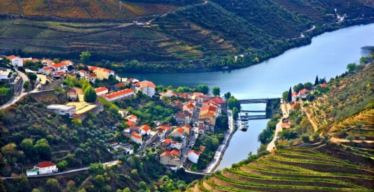 Visita di Quinta da Avessada e Pinhão