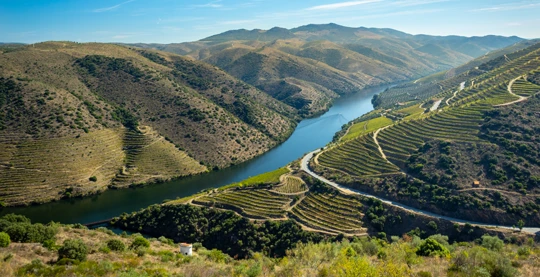 Quinta das Carvalhas