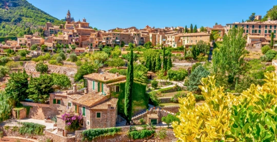 Excursion to Valldemossa