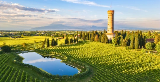 Excursion to Portoferraio and San Martino