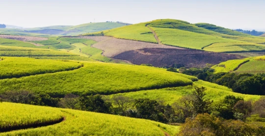 Visit to the Valley of 1000 Hills