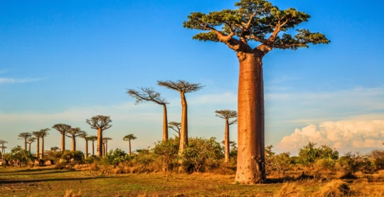 Natural wonders" excursion