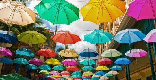 Southern Romance" excursion