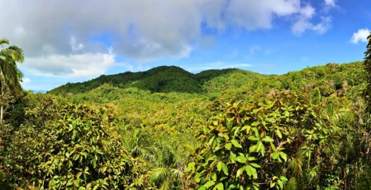 Visit to the Mai Valley