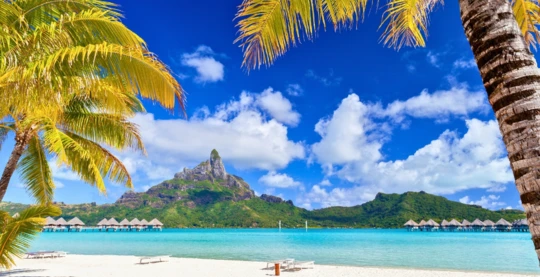 Bora Bora by Le Truck