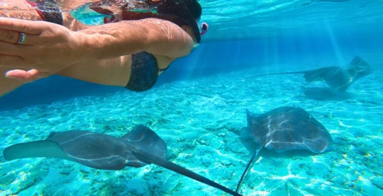 Snorkeling Lagoon Tour with Stingrays