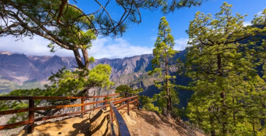 Excursion to Taburiente National Park