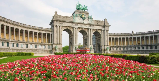 Visit of the city of Brussels