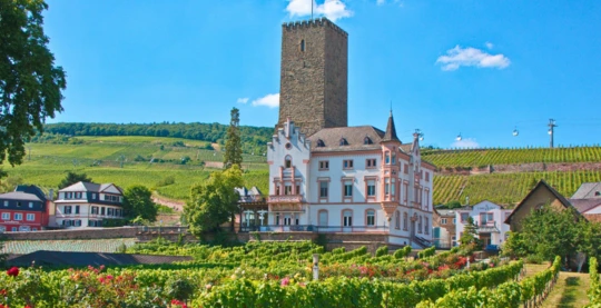 Visite de Rüdesheim