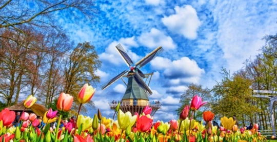 Visita de los jardines de Keukenhof