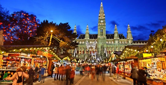 Vienna: Vienna Christmas City Tour and National Library