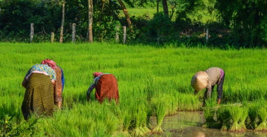 Besuch eines typischen Bauerndorfes im Mekong-Delta