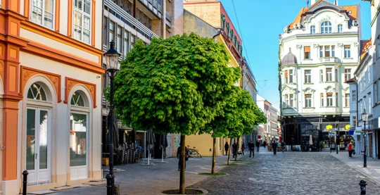 Saveurs de la Slovaquie : visite gastronomique