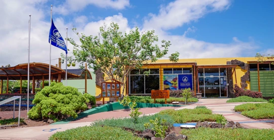 Visit the Charles Darwin Research Station