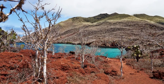 Exploration of Rábida Island