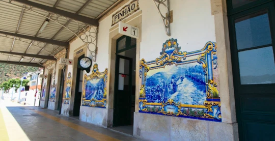 Promenade à Pinhão : visite de la célèbre gare et d'une quinta traditionnelle