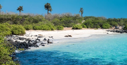 Passeggiata sulle spiagge di Santa Fe