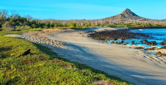 Besuch des Drachenhügels