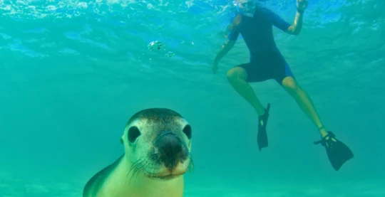 Snorkeling and hiking