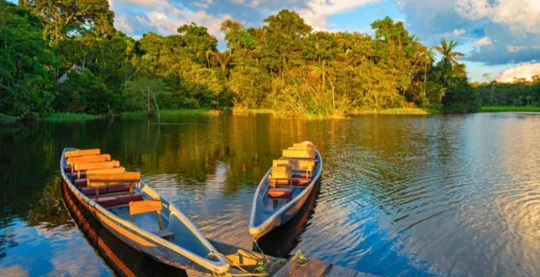 Excursion en canoe jusqu'au lac Pañacocha
