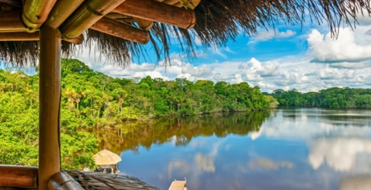 Visite d'une tour d'observation