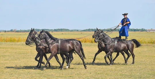 Kalocsa : randonnée du patrimoine de la Puszta