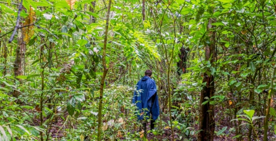 Randonnée dans la nature