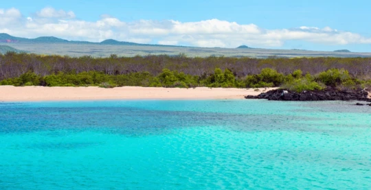 Explorer l’île North Seymour