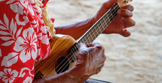 Espectáculos musicales polinesias (ukulele, guitarra, tambores)