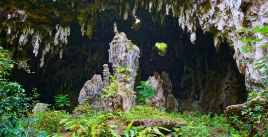 Descubrimiento de los paisajes geológicos de Rurutu