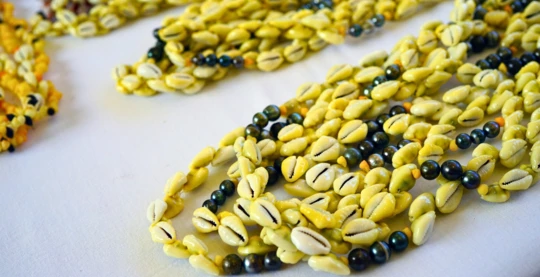 Descubrimiento de los “Pupu”