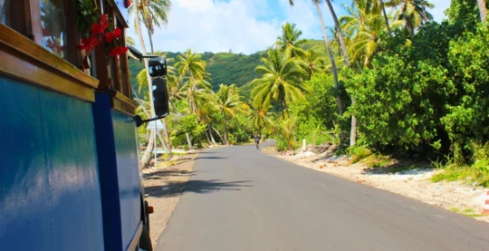 Recorrido en camión hacia el marae de Vaitauarii