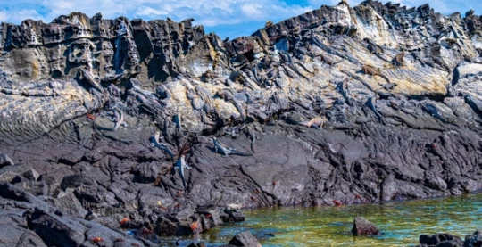 Passeggiata naturalistica a Punta Espinoza