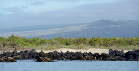 Esplorazione delle Coste Vulcaniche a Urbina Bay